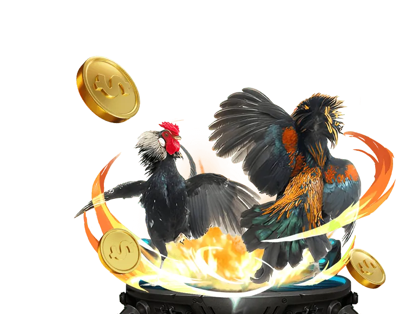 Đội ngũ chuyên gia của Gà Đá Trực Tiếp Campuchia đang làm việc trên nền tảng công nghệ hiện đại